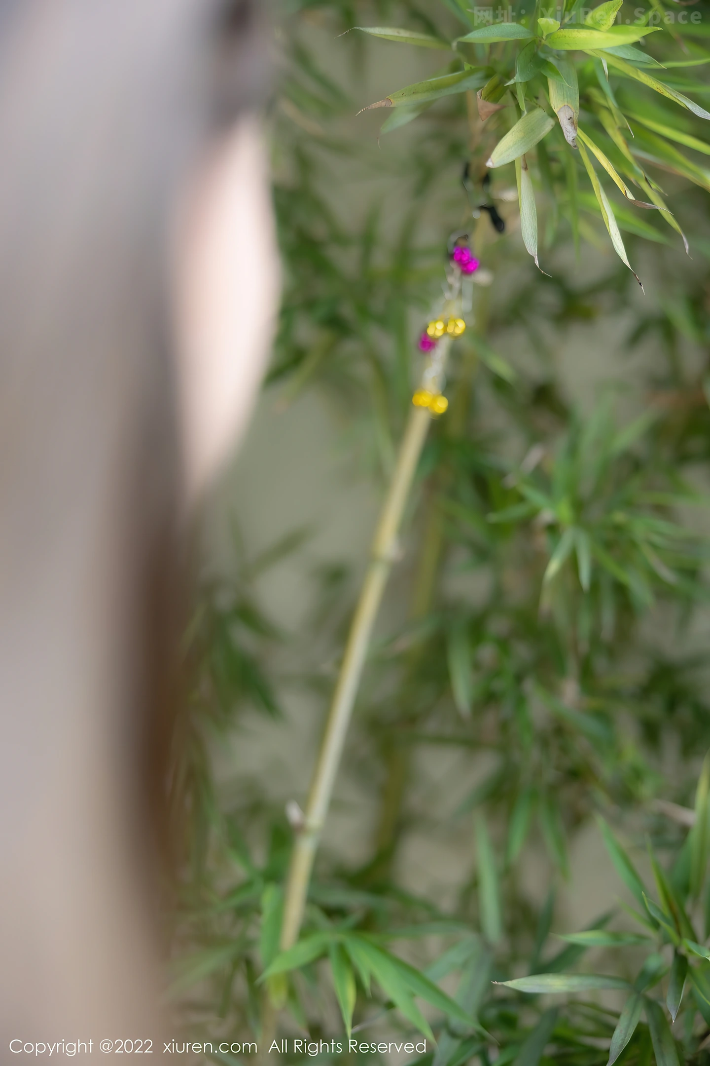 图片[4]-[XiuRen秀人网] VOL.5266 模特豆瓣酱私房浴室性感红色服饰配丁字裤秀翘臀丰满诱惑写真86P-秀人网官方网站